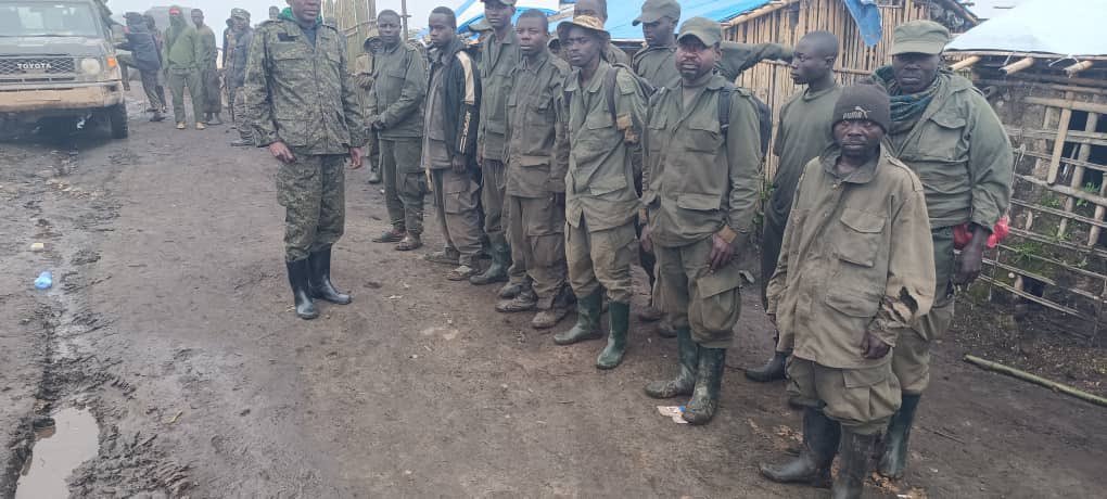 Sud-Kivu : Reddition de 13 combattants RDF/M23-Twirwaneho aux FARDC à Fizi